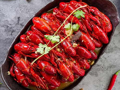 靖西十三香小龙虾培训
